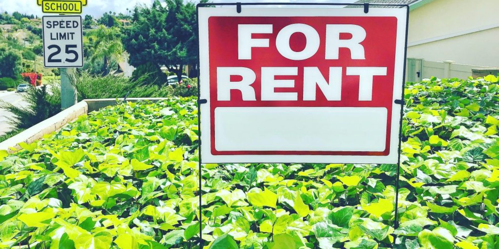 Renting vs Buying