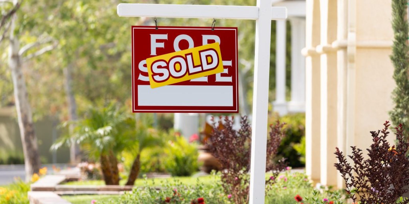 Buying, Selling, and Investing