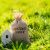 Mortgage Loans Home Market